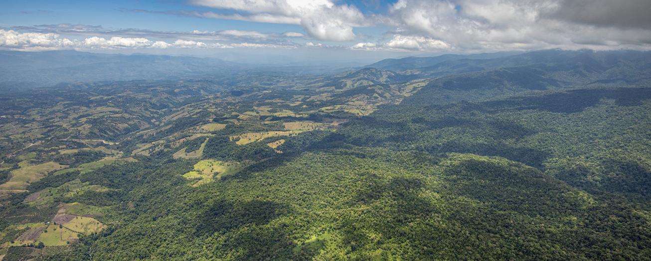 Costa Rica invertirá $54 millones en acción climática  gracias a la conservación de sus bosques