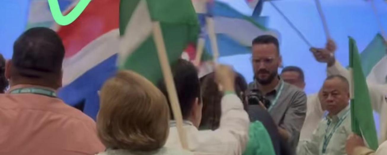 Andrés Stanley aparece como delegado nacional del PLN