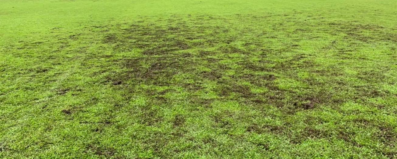 A la brava destrozan gramilla del estadio Allen Rigioni