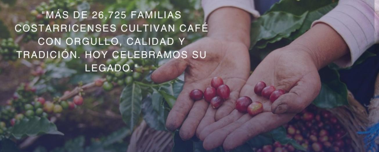 Informe técnico revela tendencias en consumo y producción de café en Costa Rica