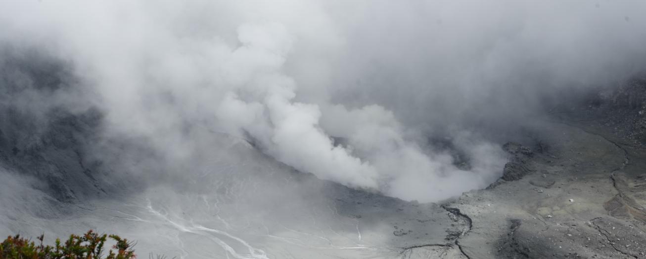 SENASA recomienda proteger los animales ante caída de ceniza del Poás