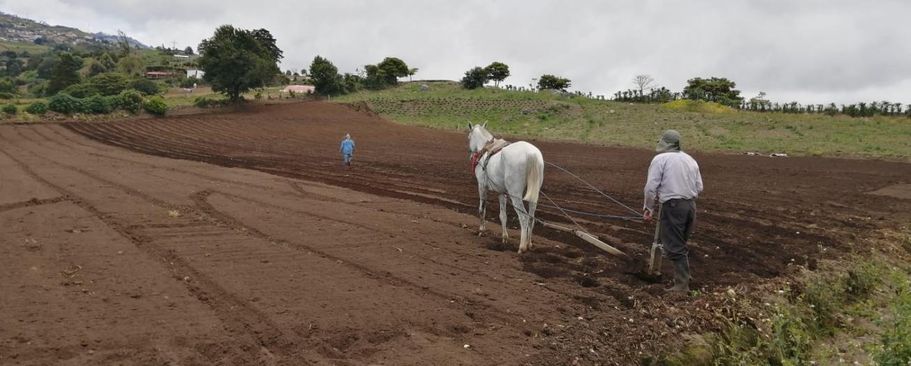 MAG facilita el registro de pequeños y medianos productores agropecuarios para garantizar más beneficios y menos trámites