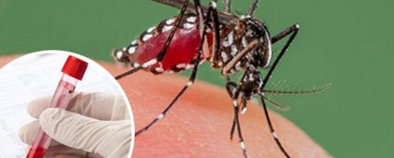 Salud confirma caso de dengue tipo 4 o DENV-4