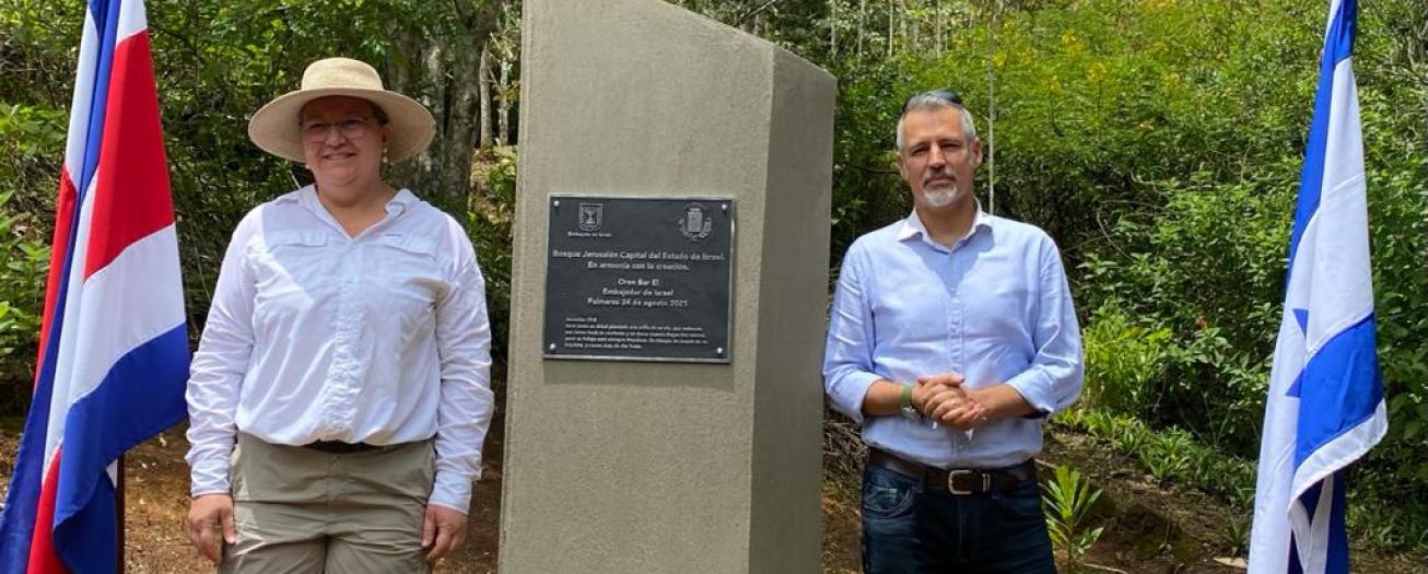 Palmares crea  primer bosque municipal