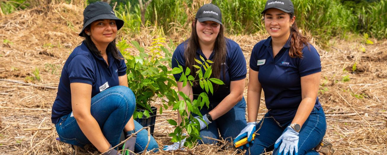 Reforestación en Poás une a comunidades y empresas en favor del ambiente