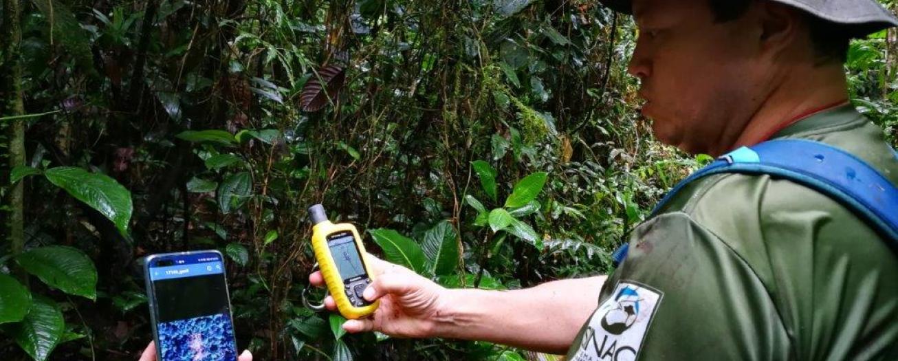 Costa Rica autoriza 300 investigaciones al año en biología,  ecología, monitoreo, manejo, conservación y bioprospección