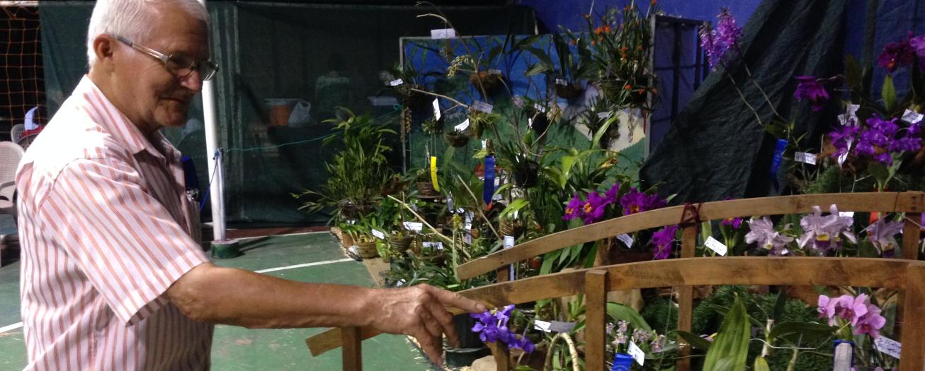 Asociación de Orquídeas de Naranjo celebra 30 años con gran exposición